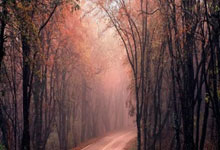 天涯神贴最新预言：哪条最让你坐不住？